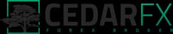 Footer Logo